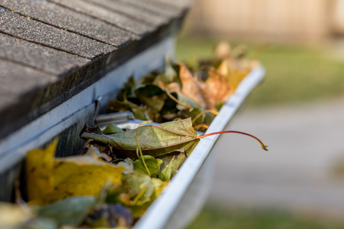 gutters, gutter maintenance, gutter screens, rain gutter